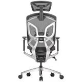 Ghế công thái học GTChair Dvary Butterfly