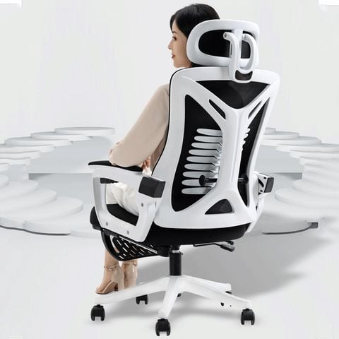 Ghế công thái học TKK19+