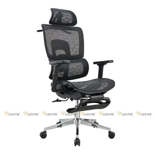 Ghế công thái học DPD