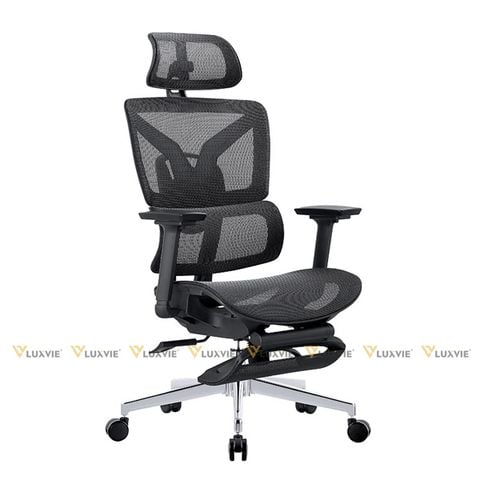 Ghế công thái học TKN009
