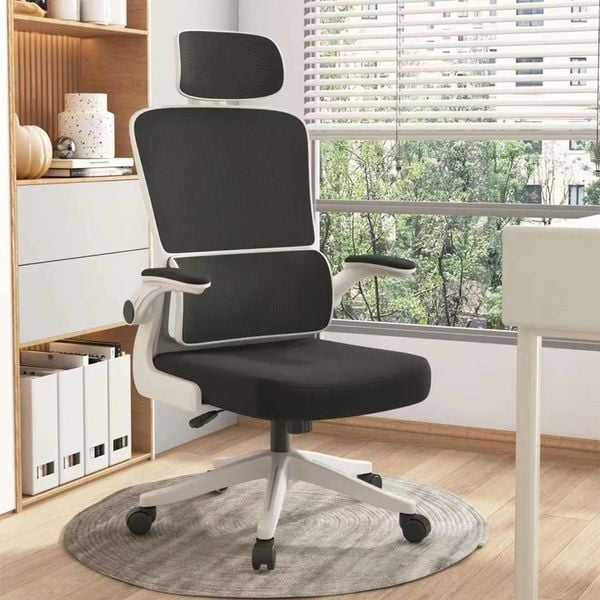 Ghế công thái học TKK21+