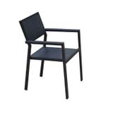 Ghế Ngoài Trời Polywood DPAV11