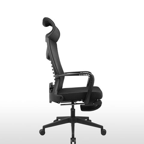 Ghế công thái học TKN050+