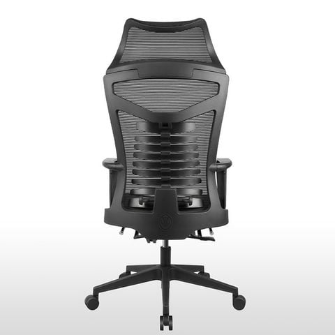 Ghế công thái học TKN050+