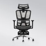 Ghế công thái học HSVP050