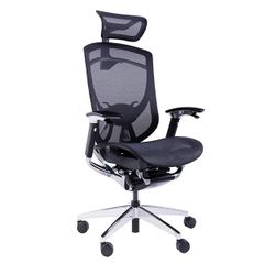 Ghế công thái học GTChair Ifit Smile