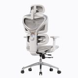 Ghế công thái học Manson Iris Wintex