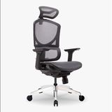 Ghế công thái học GTChair Isee M