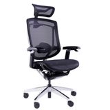 Ghế công thái học GTChair Marrit X