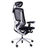 Ghế công thái học GTChair Marrit X