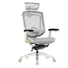 Ghế công thái học GTChair Marrit X