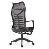Ghế công thái học TKN060