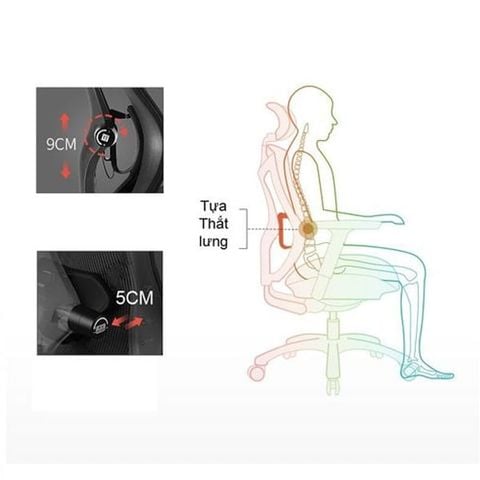 Ghế công thái học Sihoo V1