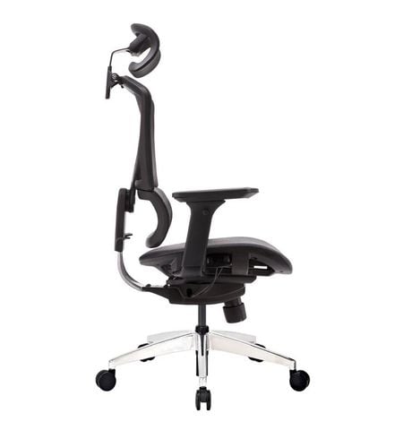 Ghế công thái học GTChair Isee M