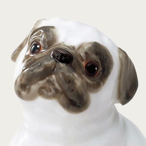  Tượng sứ cún cưng (Pug) cao 8,5cm sứ xương cao cấp Nhật Bản | Figurine Dog AC239 - K219 