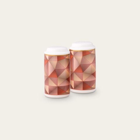  Bộ lọ đựng tiêu (4 lỗ) và muối (8 lỗ) cao 10,4cm sứ xương | Splendid Umber 4970L - 936710 