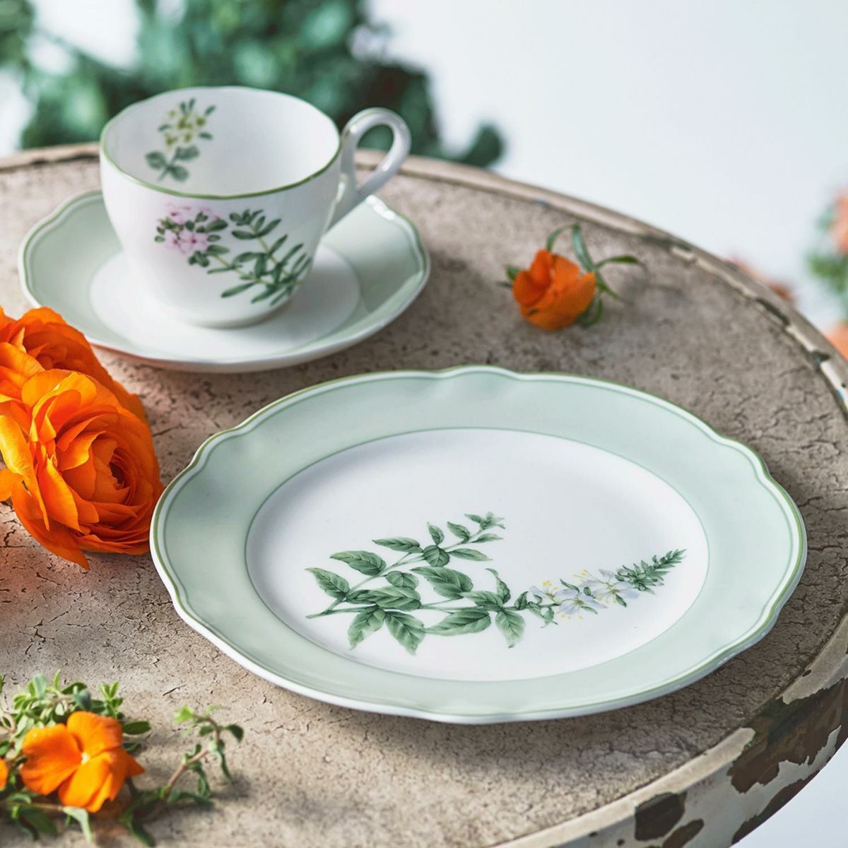  Đĩa tròn cỡ vừa đường kính 22cm sứ xương | English Herbs 4942L - 97811 