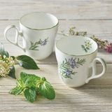  Cốc (ly) uống nước 375ml họa tiết hoa hương thảo | English Herbs 4942L-T97855 