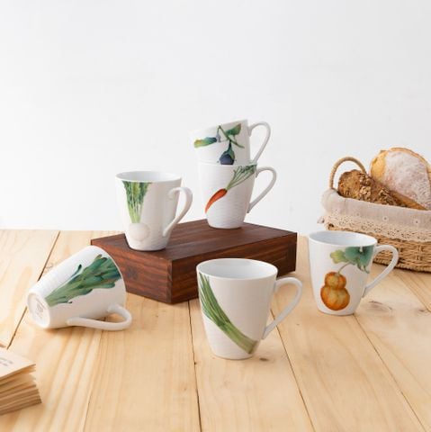  Bộ 06 cốc (ly) uống nước, cà phê dung tích 295ml sứ trắng | Kyoka Shunsai 1620-17L - Q006WK 