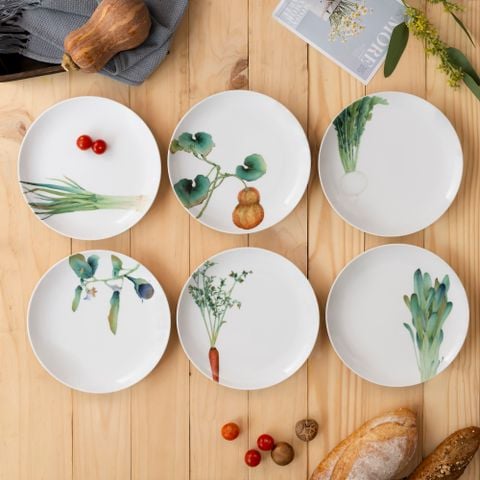  Bộ 06 đĩa tròn coupe đường kính 24,1cm sứ trắng | Kyoka Shunsai 1620-17L - Q006WB 