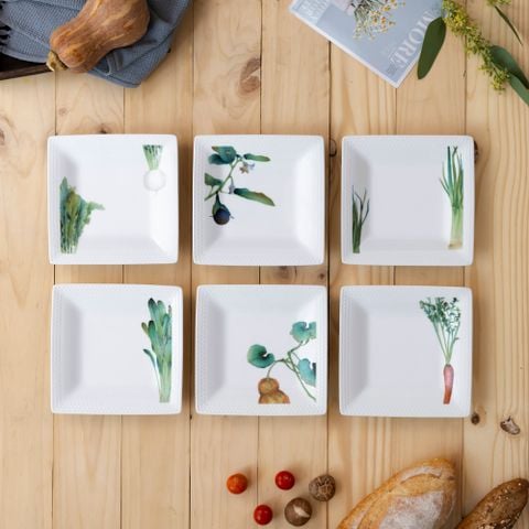  Bộ 06 đĩa vuông cỡ nhỏ cạnh dài 19,2cm sứ trắng | Kyoka Shunsai 1620-17L - Q006WP 