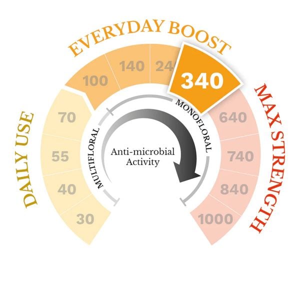  Mật ong Manuka Doctor Honey Monofloral 340 MGO 250g (UK - Anh Quốc) 