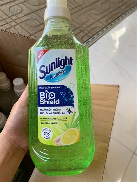 Sunlight