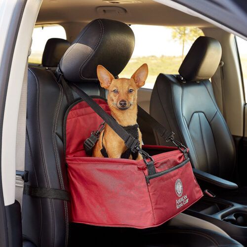 Ghế ngồi cho chó trên ô tô American Kennel Club – Chuyên Sản phẩm ngành phụ  trợ ô tô