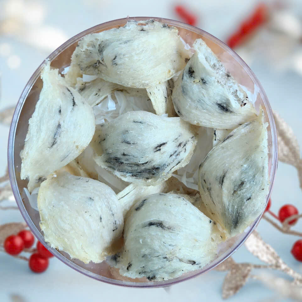 YẾN THÔ NGUYÊN TỔ CAO CẤP SAKI – Yến Sào Saki