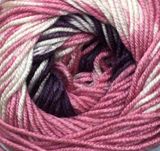  Himalaya Everyday Viking 