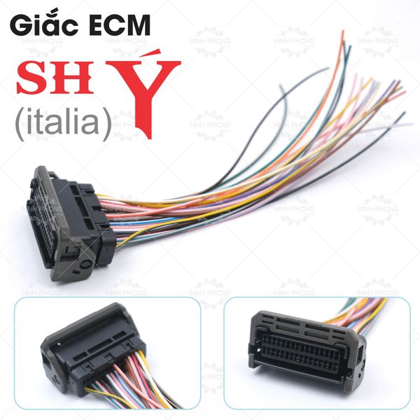 Giắc ECM SH Ý ( 2008 ) Cáp kết nối ECM xe Honda SH ITALIA