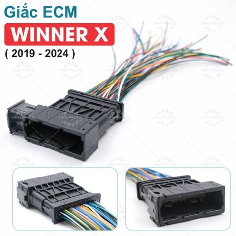 Giắc ECM WINNER X ( 2019 - 2024 ) THẺ RAM Cáp kết nối ECU xe Honda Winner X