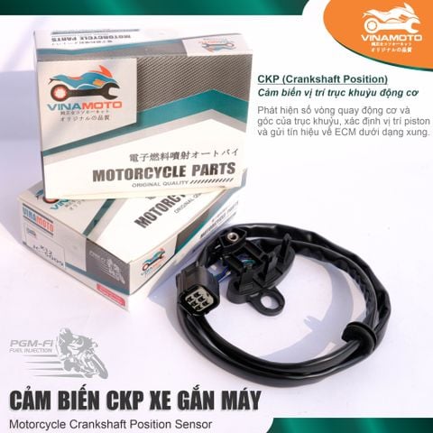 Cảm biến CKP xe máy Honda / Thương hiệu ViNAMOTO