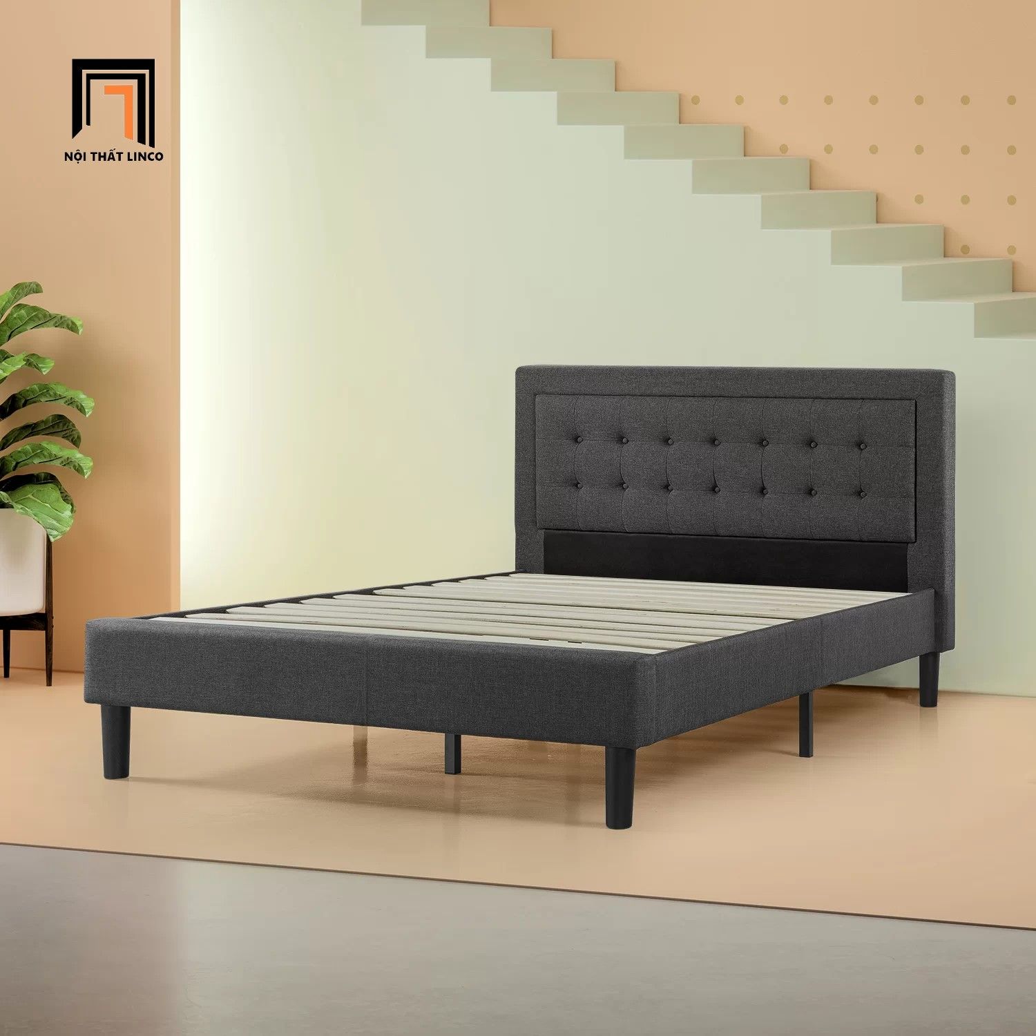  Giường ngủ bọc vải nỉ GN1 Vannatta 1m6 x 2m màu xám đen 