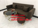  Bộ ghế sofa băng đa năng nâu cafe đậm rẻ dài 2m gia đình nhỏ 