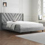  Giường ngủ cao cấp 1m6 x 2m GN64 Permelia xám đậm vải nhung 