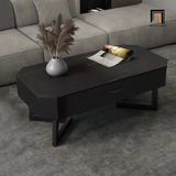  Bàn sofa hình khối chữ nhật 1m x 50 BSF42 Khame chung cư 