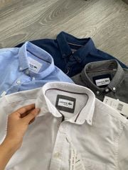SƠ MI LACOSTE TAY NGẮN
