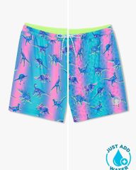 SHORT CHUBBIES