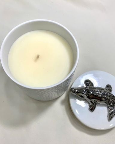 NẾN THƠM CÁ SẤU