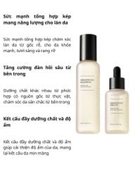 SET INCELLDERM DERMATOLOGY FIRST PACKAGE EX & ACTIVE CREAM EX