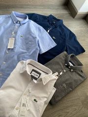 SƠ MI LACOSTE TAY NGẮN