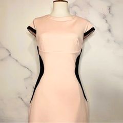 ĐẦM TED BAKER HỒNG PHỐI ĐEN
