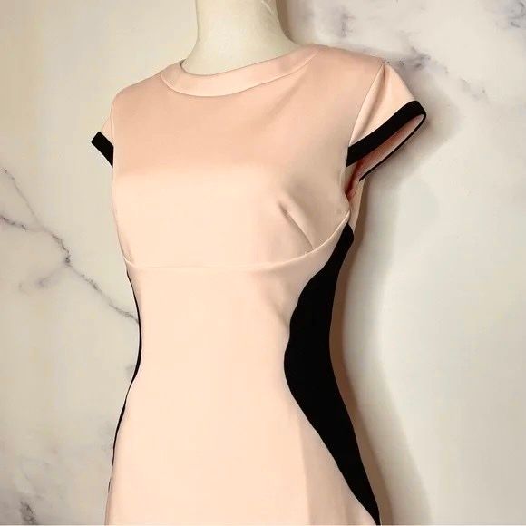 ĐẦM TED BAKER HỒNG PHỐI ĐEN