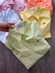 SƠ MI VIVIENNE  WESTWOOD