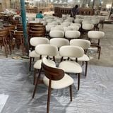  Ghế Ăn Bọc Đệm Loti 