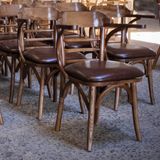  Ghế Ăn Bọc Đệm Thonet Có Tay 