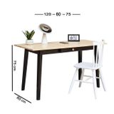  Bàn làm việc 08 - tyche table 