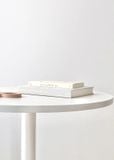  Bàn cafe Tilip table 