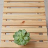  Kệ giày khung sắt tĩnh điện 2 tầng - iron bench size 50 